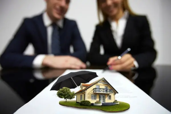 /assets/images/insurance3.webp